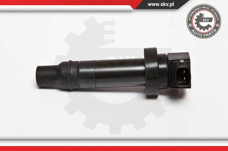 Ignition Coil (03SKV202)