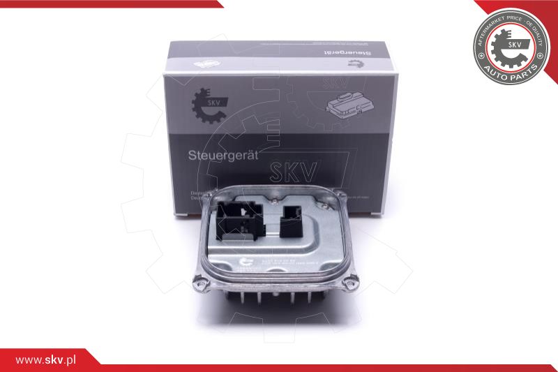 Control Unit, lights (59SKV168)