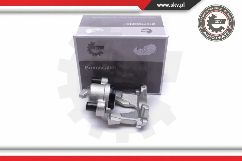 Brake Caliper (55SKV732)