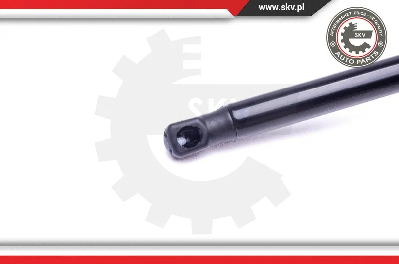 Gas Spring, boot/cargo area