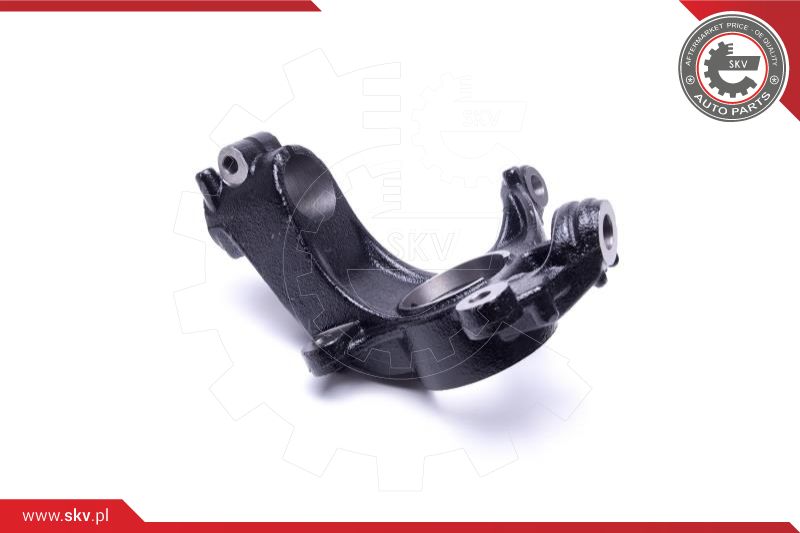 Steering Knuckle, wheel suspension