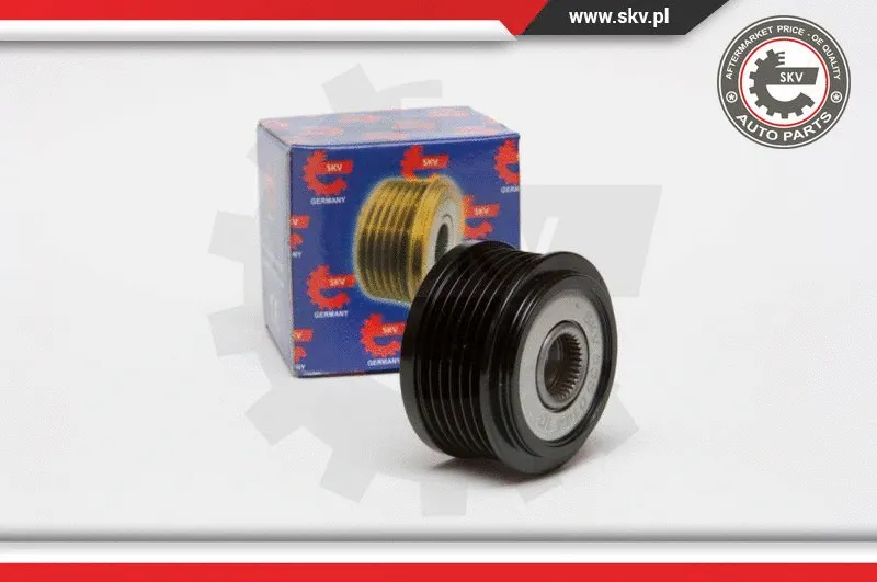 Alternator Freewheel Clutch