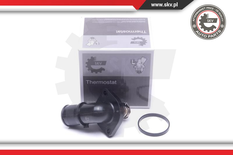 Thermostat, coolant (20SKV166)