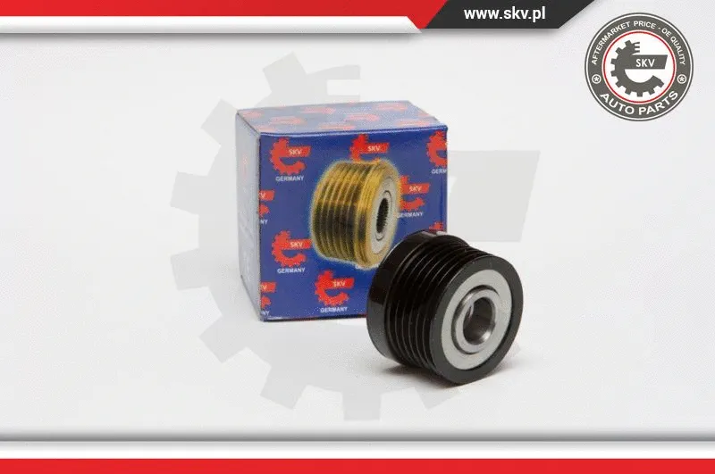 Alternator Freewheel Clutch (11SKV038)