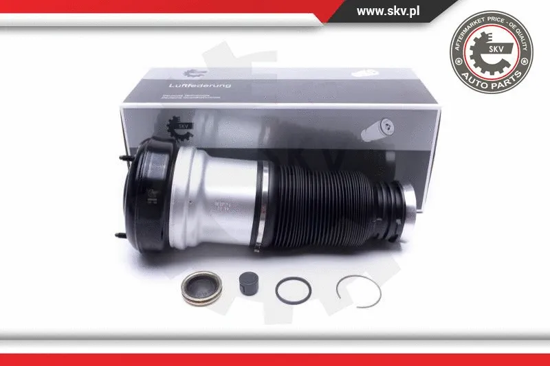 Air Suspension Strut (58SKV065)