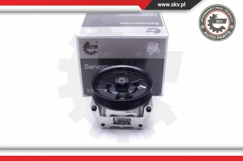 Hydraulic Pump, steering (10SKV304)