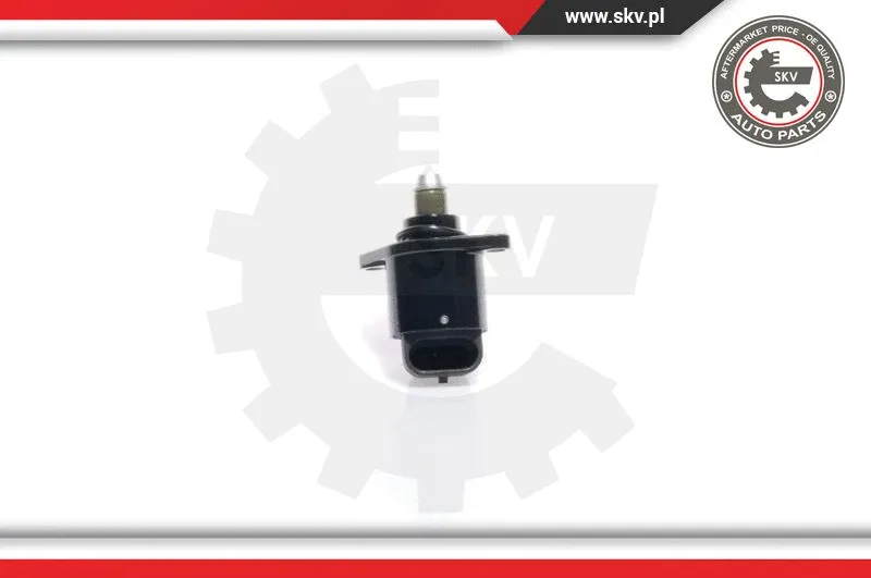 Idle Control Valve, air supply (08SKV037)