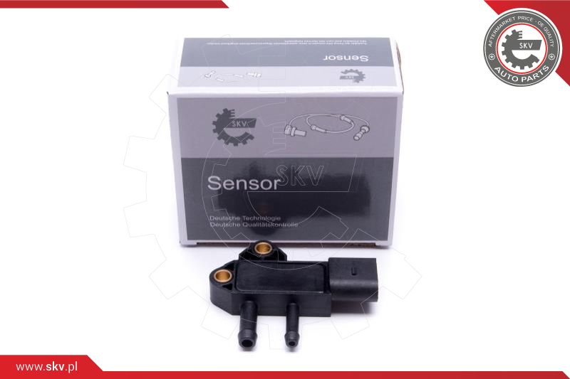 Sensor, exhaust pressure (17SKV788)