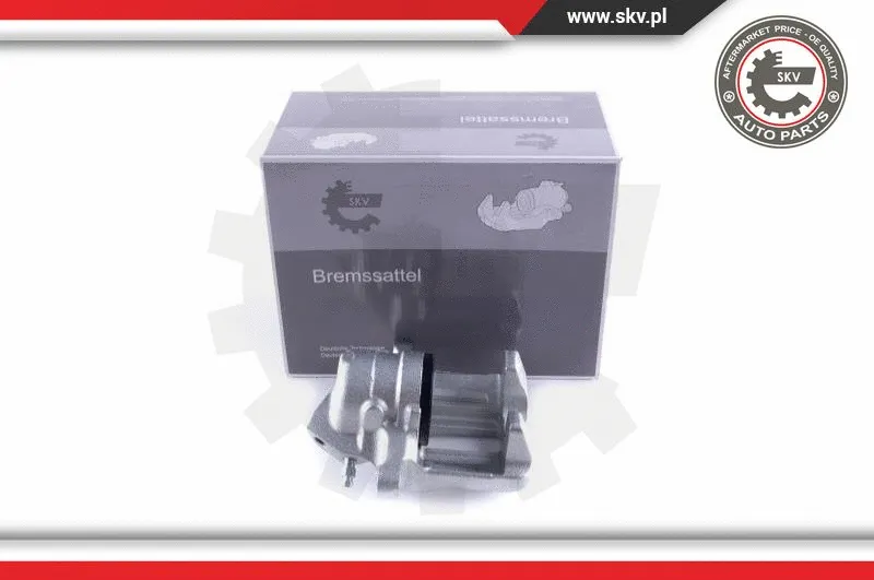 Brake Caliper (55SKV141)