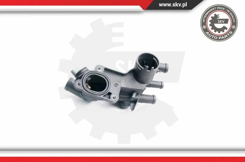 Thermostat, coolant