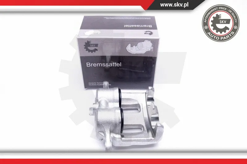 Brake Caliper (45SKV672)