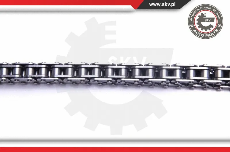 Timing Chain Kit