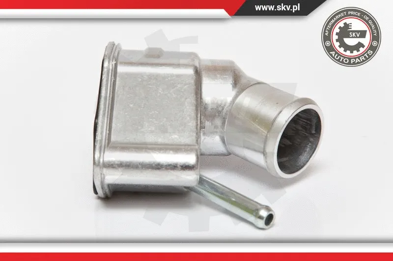 Thermostat, coolant