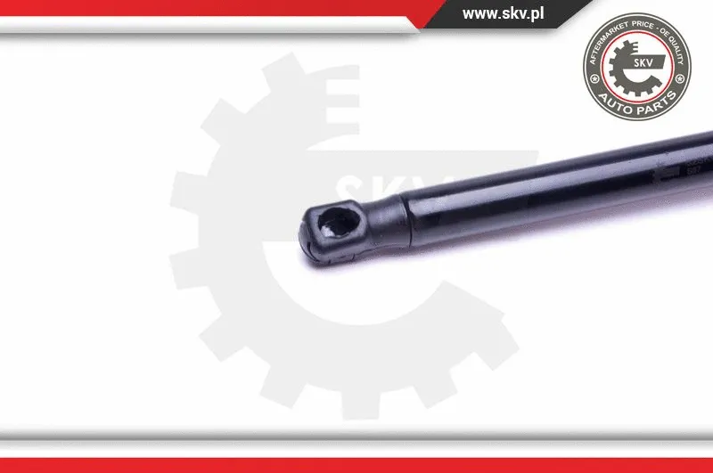Gas Spring, boot/cargo area