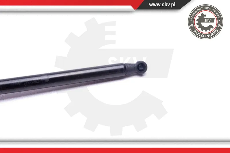 Gas Spring, boot/cargo area