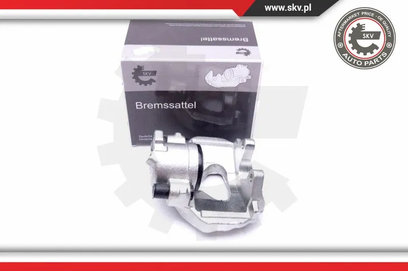 Brake Caliper (42SKV272)