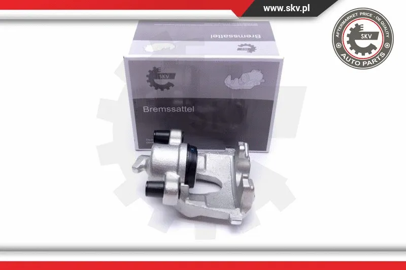 Brake Caliper (55SKV742)