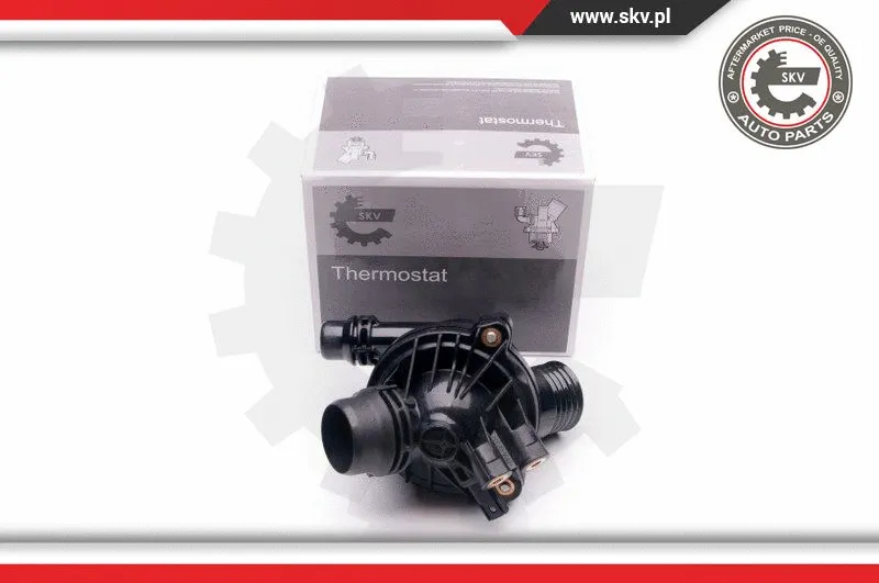 Thermostat, coolant (20SKV061)
