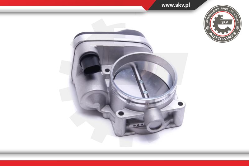 Throttle Body