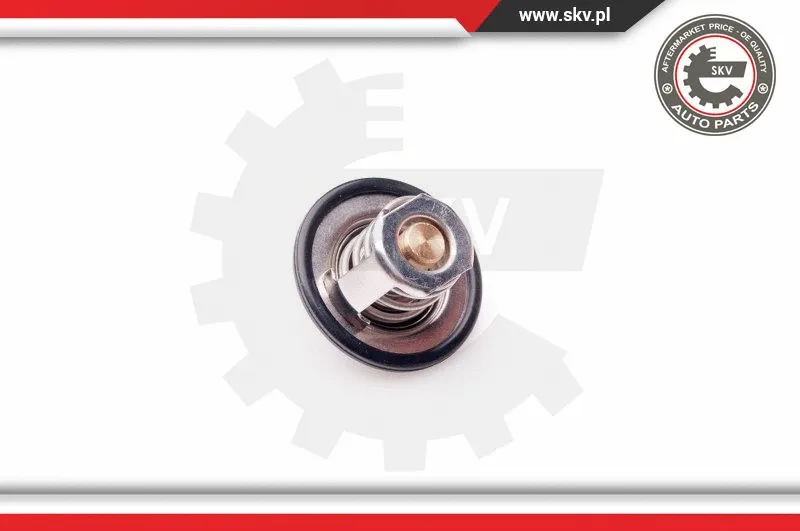 Thermostat, coolant