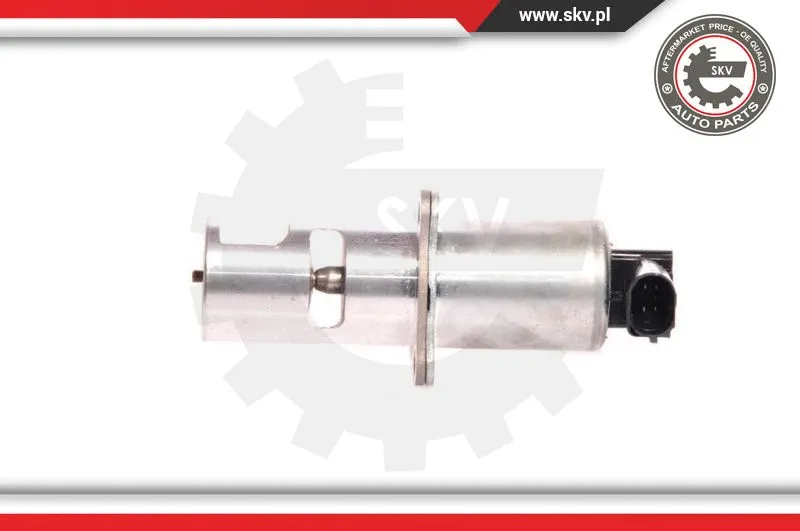 EGR Valve
