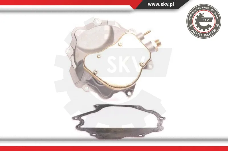 Vacuum Pump, braking system (18SKV007)