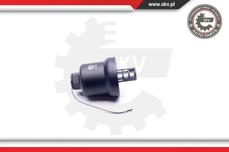 Cap, oil filter housing (31SKV058)