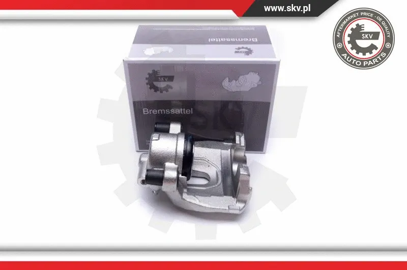 Brake Caliper (55SKV871)