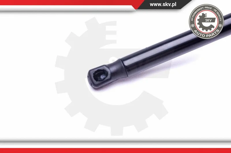 Gas Spring, boot/cargo area