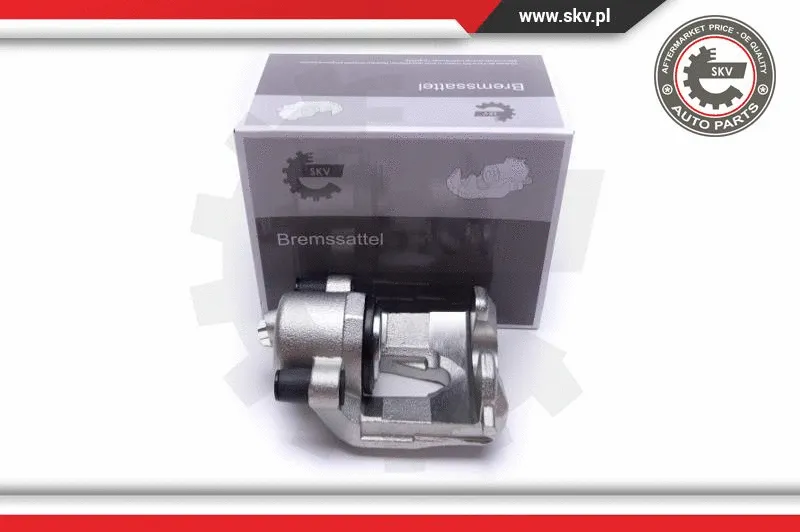 Brake Caliper (55SKV892)
