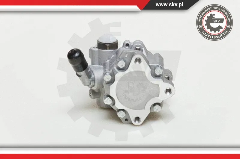 Hydraulic Pump, steering