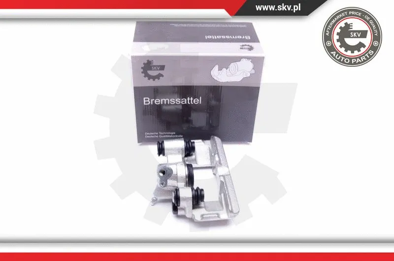Brake Caliper (42SKV254)