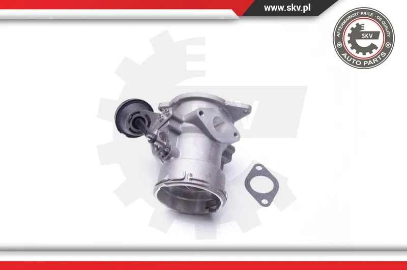 EGR Valve