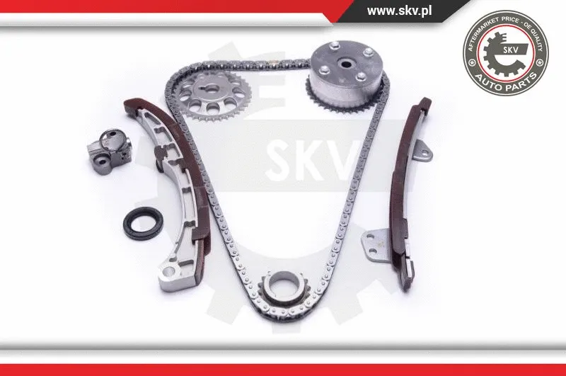 Timing Chain Kit