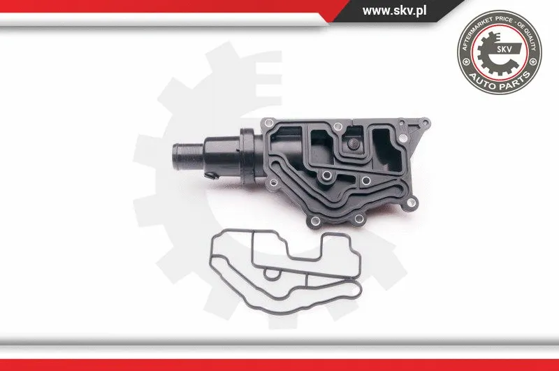 Thermostat, coolant