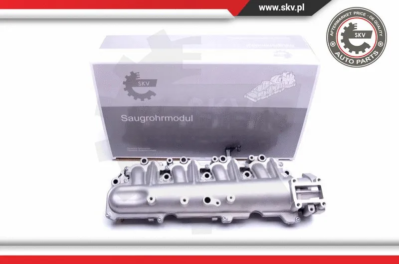 Intake Manifold Module (49SKV029)
