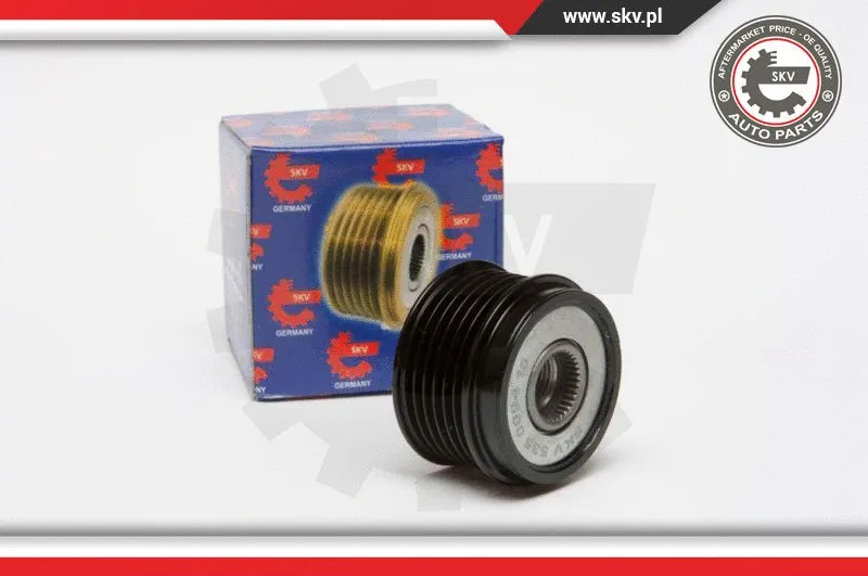Alternator Freewheel Clutch (11SKV041)