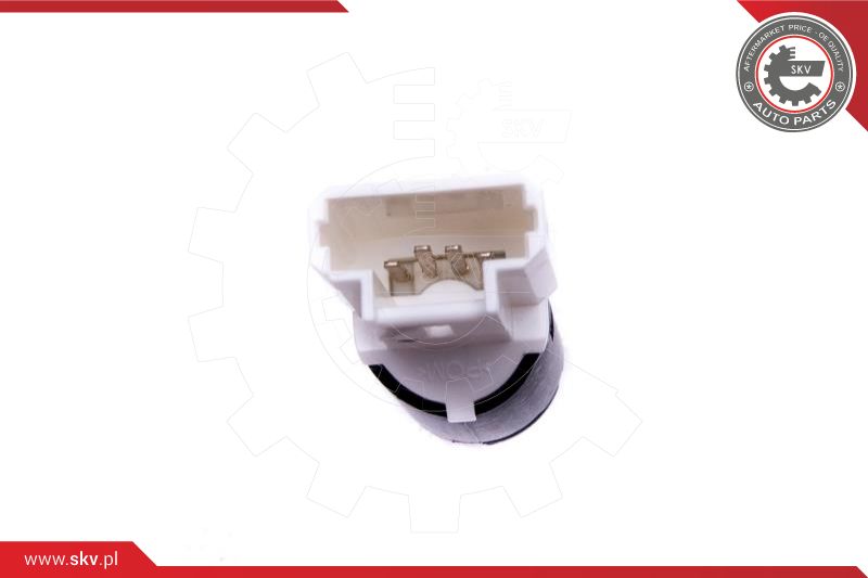 Stop Light Switch