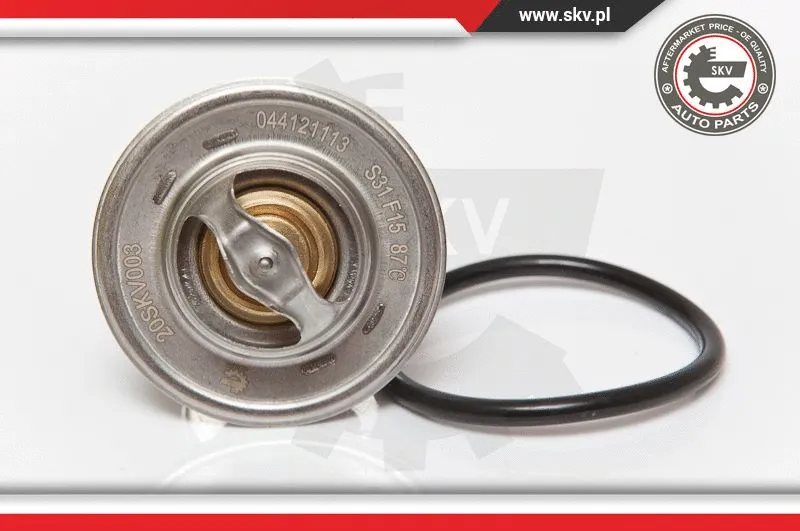 Thermostat, coolant