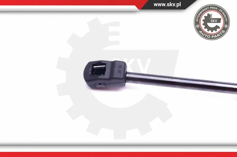 Gas Spring, boot/cargo area