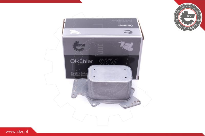 Oil Cooler, engine oil (31SKV212)