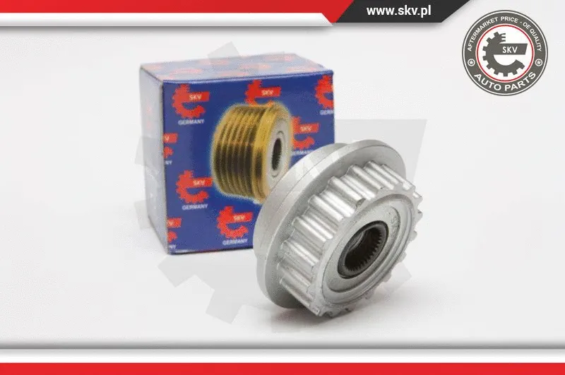 Alternator Freewheel Clutch (11SKV050)