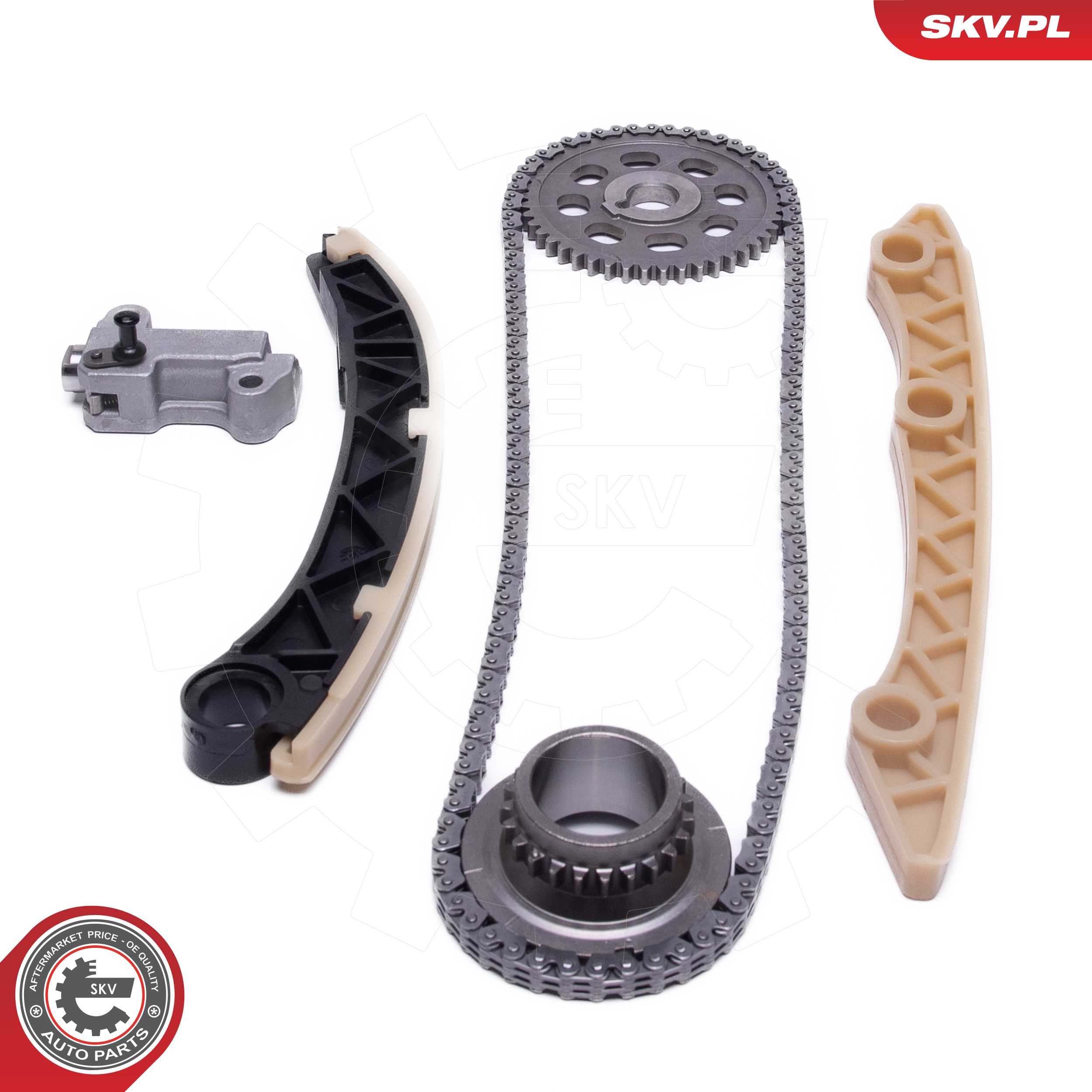 Timing Chain Kit