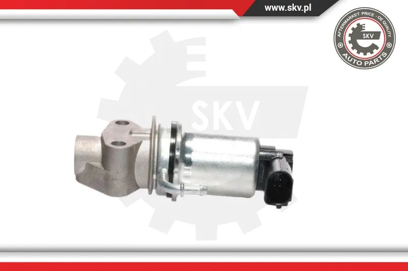 EGR Valve