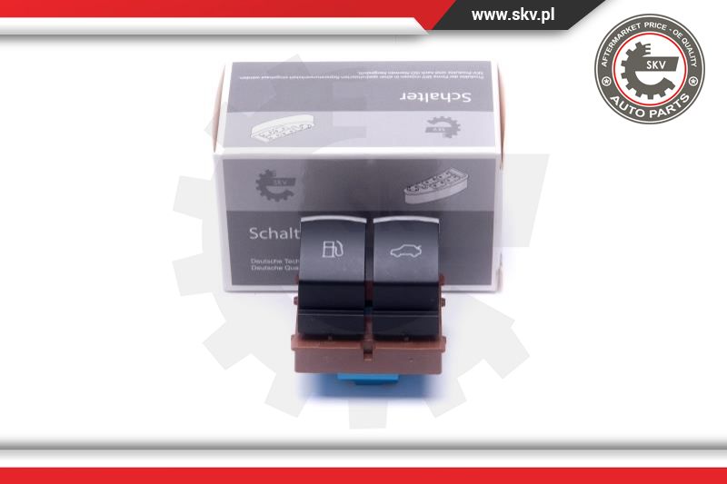 Switch, tailgate release (38SKV804)