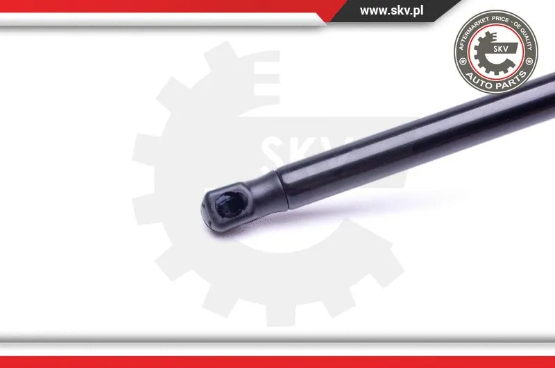 Gas Spring, boot/cargo area