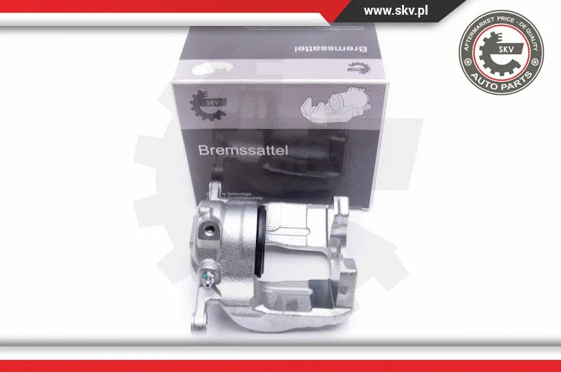 Brake Caliper (44SKV591)