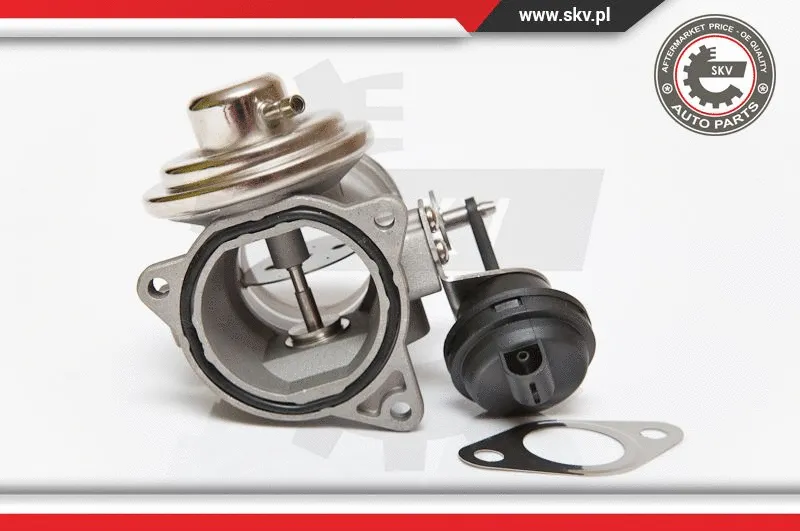 EGR Valve (14SKV081)