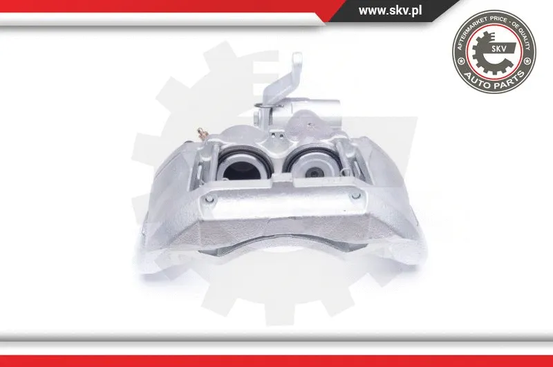 Brake Caliper (42SKV088)