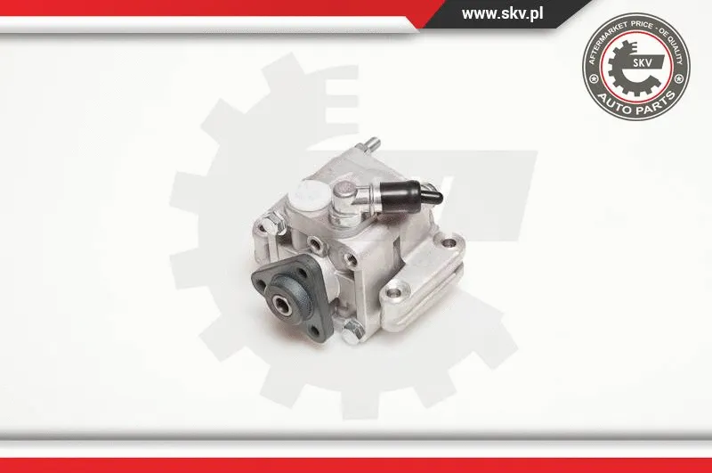 Hydraulic Pump, steering (10SKV088)